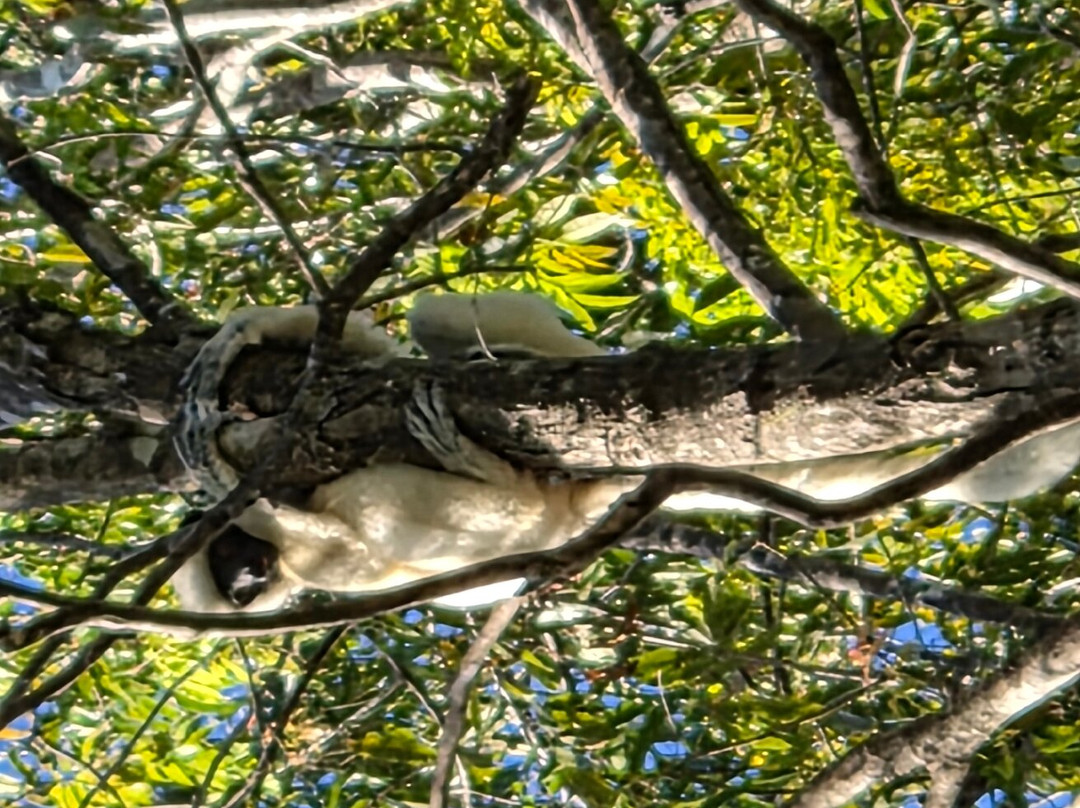Madagascar Green Tours-安齐拉贝必去景点