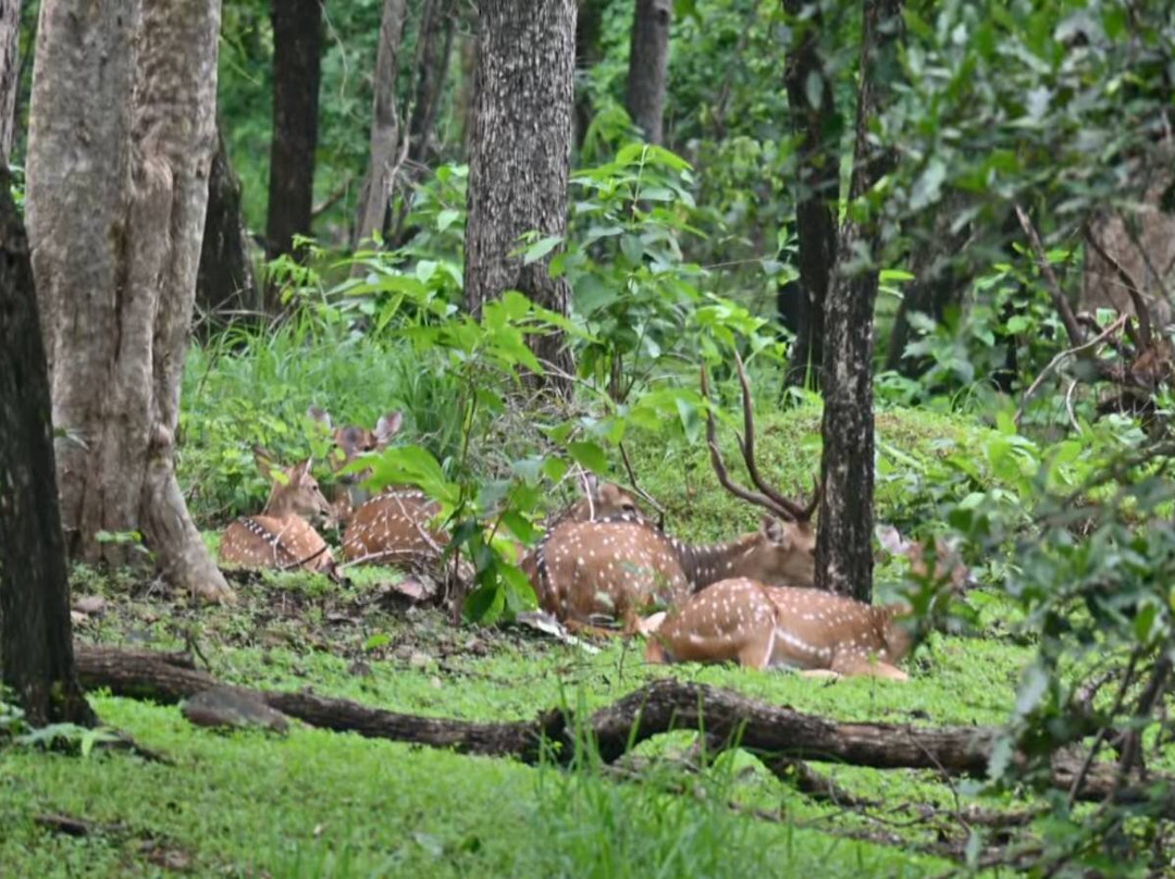 Debrigarh Wildlife Sanctuary-Sambalpur必去景点