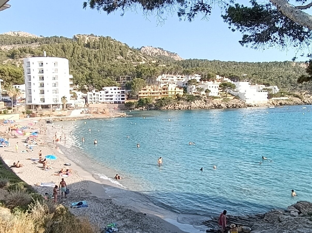 Platja De Sant Elm-Andratx必去景点