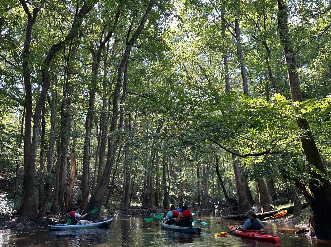 Carolina Outdoor Adventures-厄莫必去景点