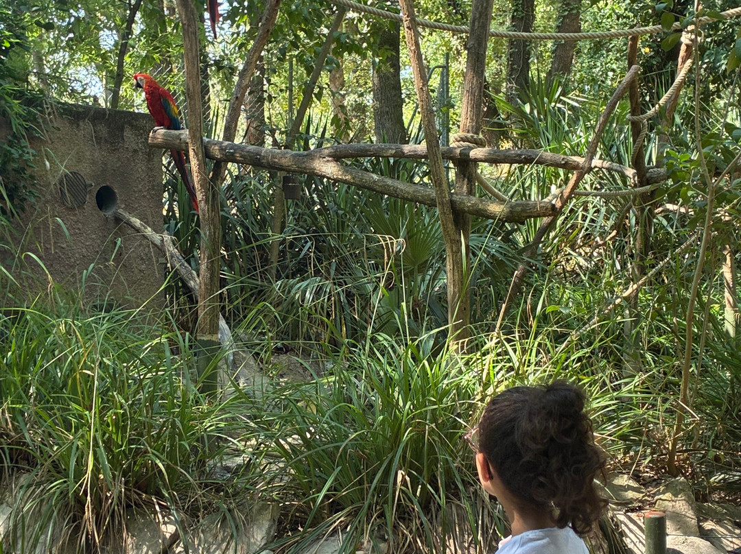 Zoo African Safari-Plaisance-du-Touch必去景点