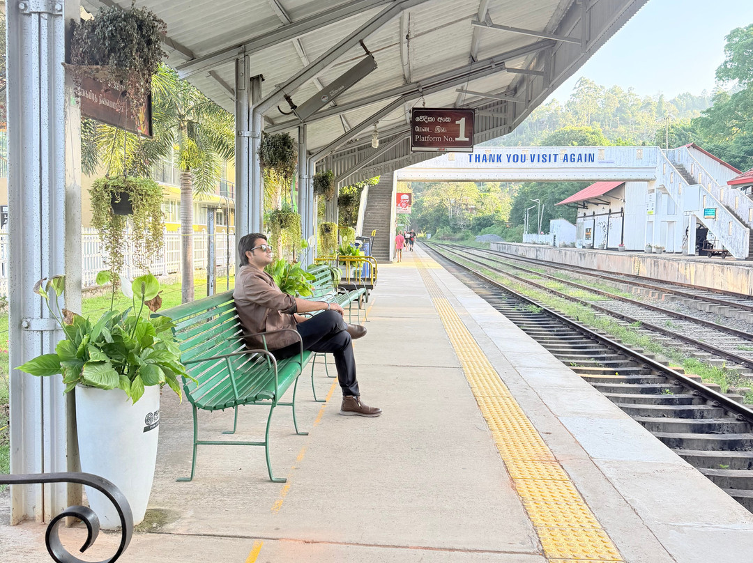Nanuoya To Ella Train Ride-Nanu Oya必去景点