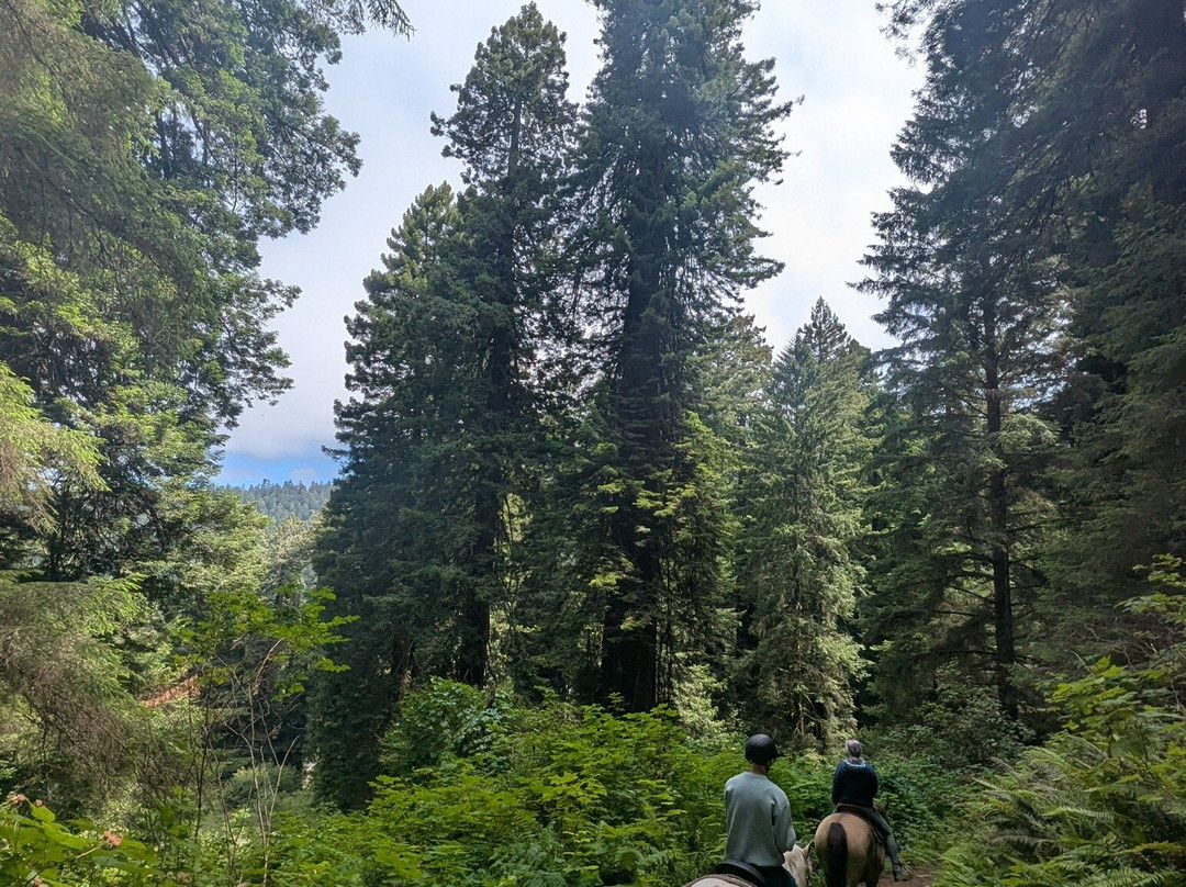 Redwood Creek Buckarettes-Orick必去景点