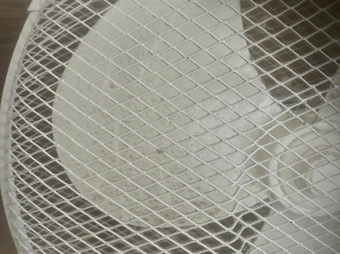 伦敦泰晤士旅馆-由帕莱特度假村管理主图