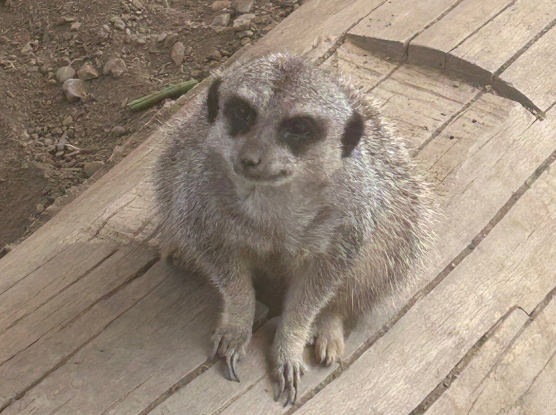 The Lake District Wildlife Park-Bassenthwaite必去景点