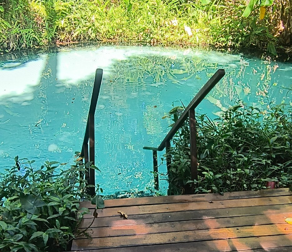 Fervedouro do Buriti-Mateiros必去景点