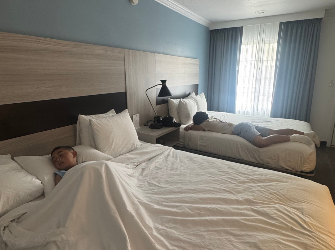 Park Vue Inn主图
