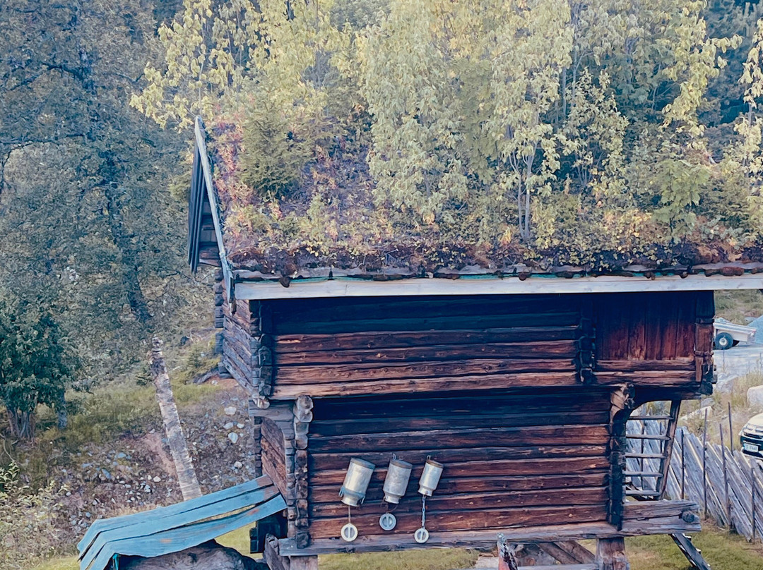 Tuddal Høyfjellshotel主图