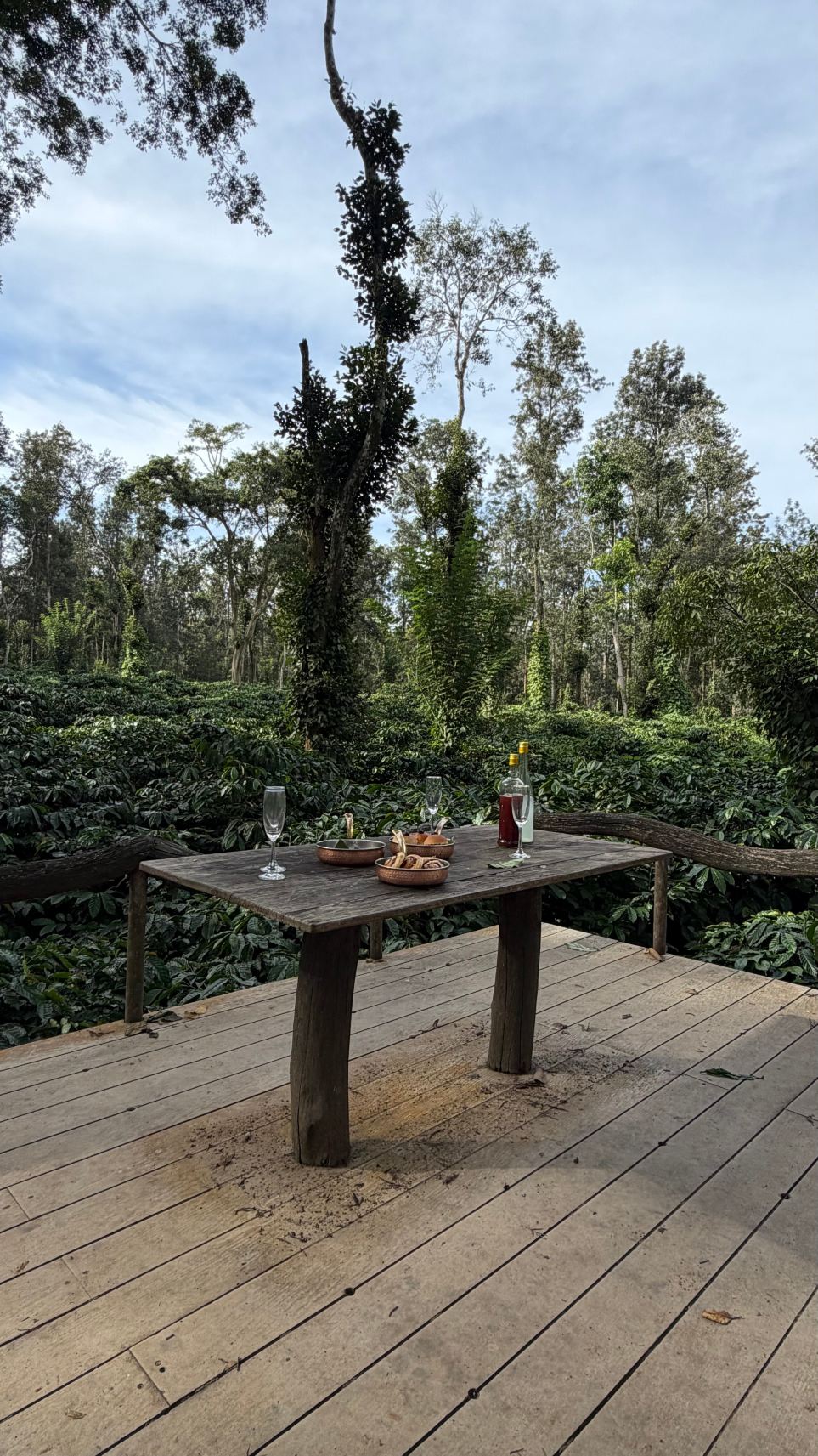 果儿古回归原始酒店-旅行者