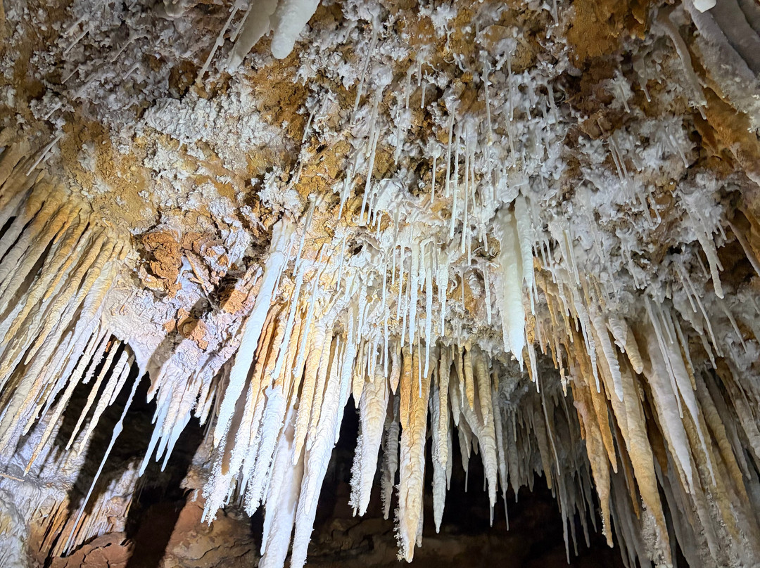 Grotte de Clamouse-Saint-Jean-de-Fos必去景点