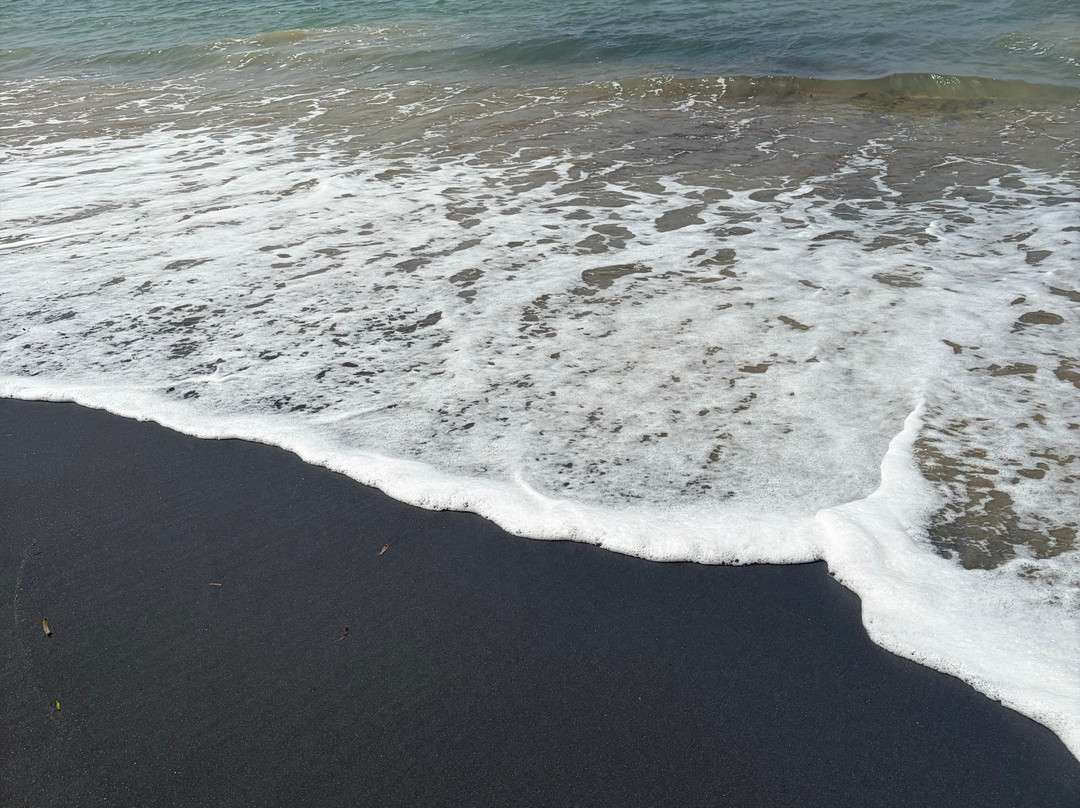 Black Sand Beach-维切克岛必去景点