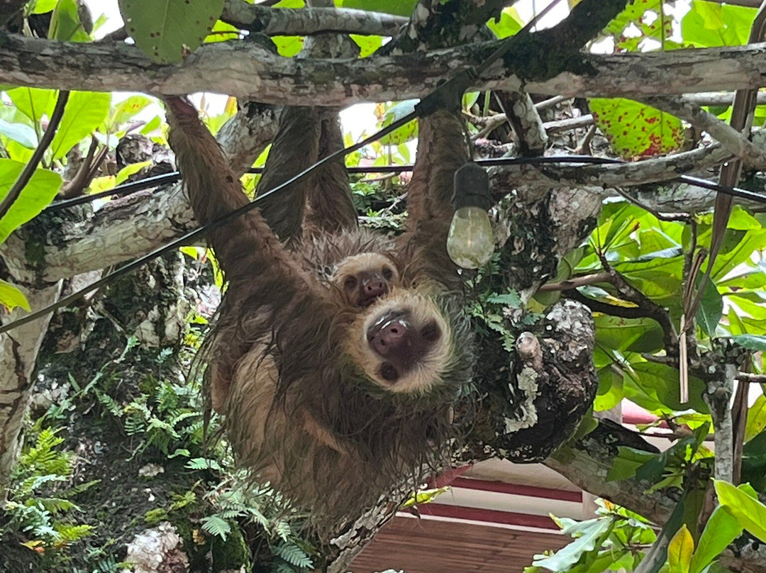Cahuita National Park-卡维塔必去景点