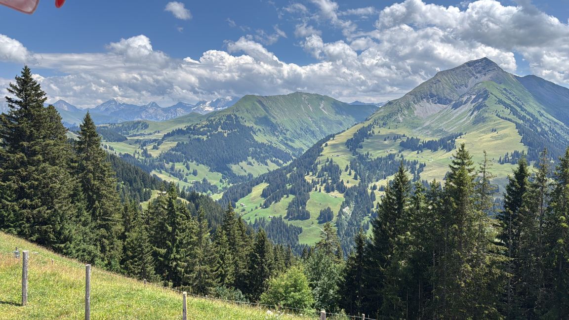 Hotel Hornfluh-旅行者