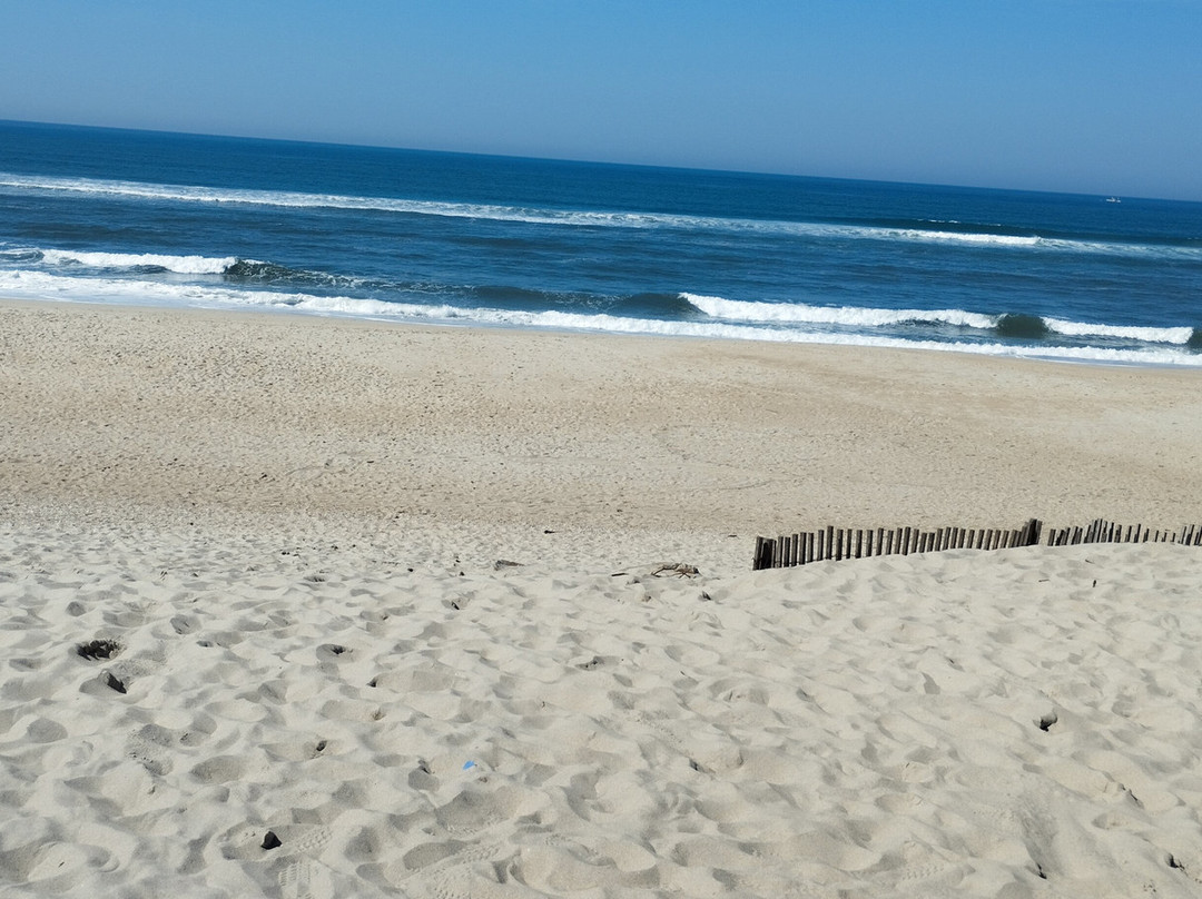 Praia da Costa Nova-Gafanha da Encarnacao必去景点
