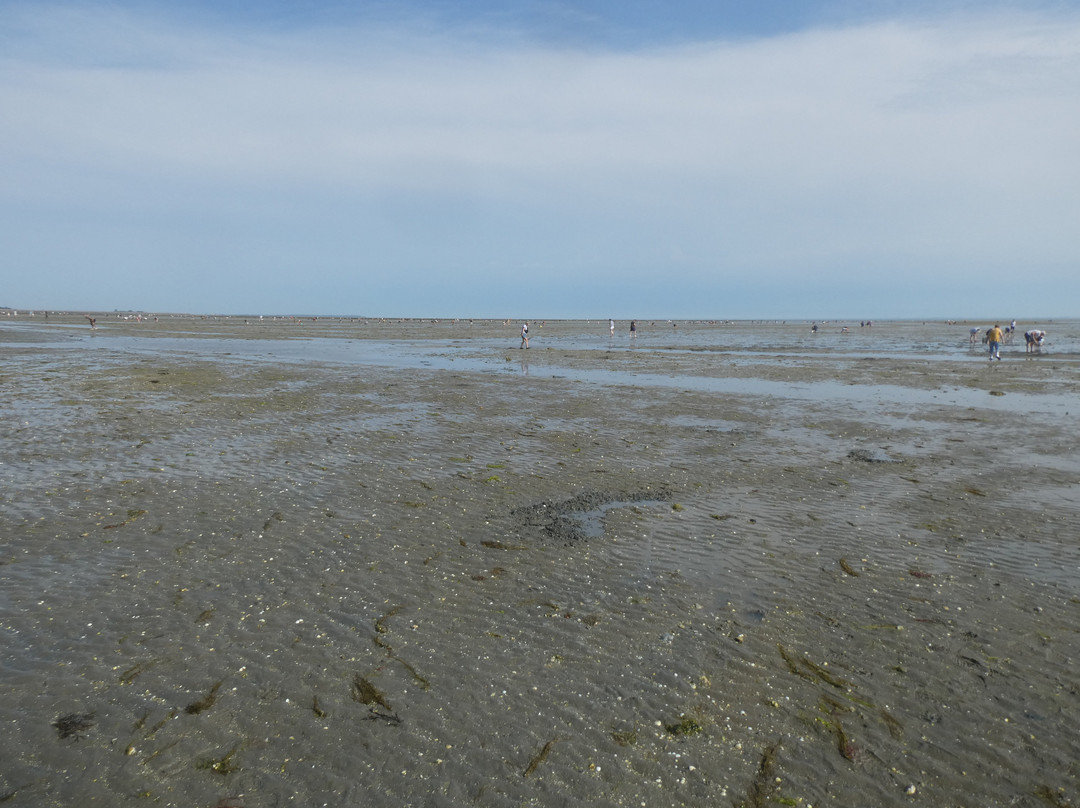 Le Passage du Gois-Barbatre必去景点