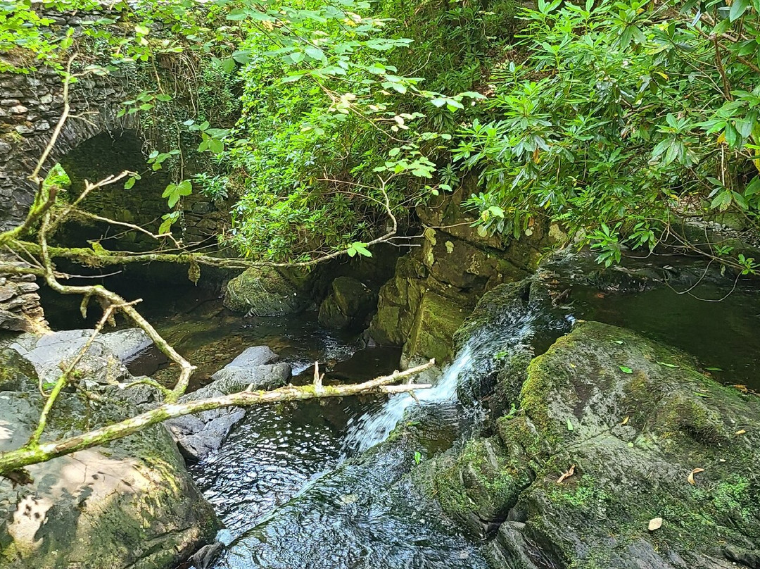 Torc Waterfall-基拉尼必去景点