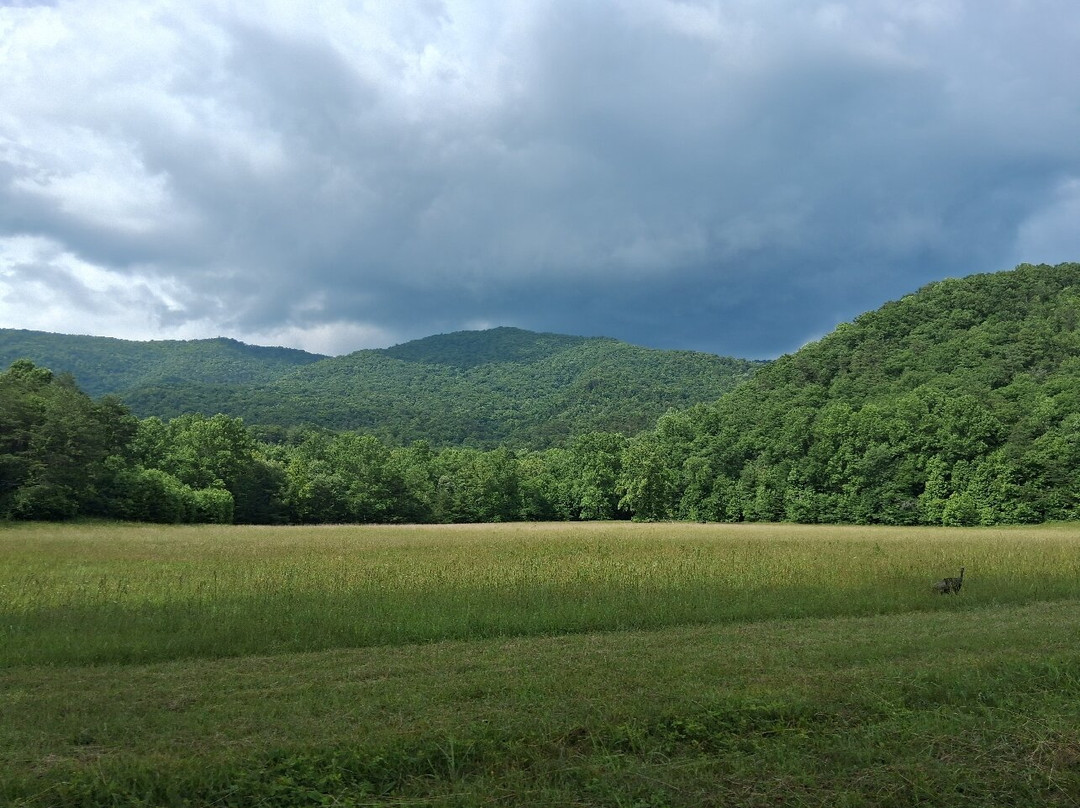 Cades Cove-大雾山国家公园必去景点