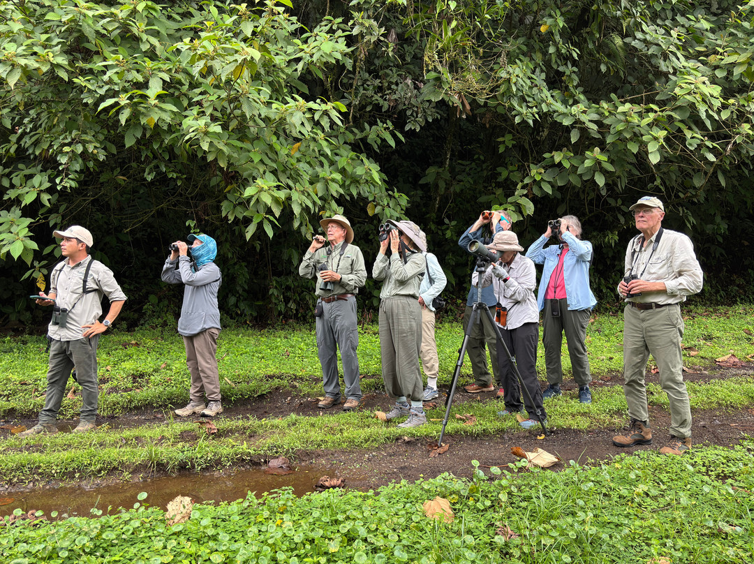 Tranquilo Bay Eco Adventure Lodge主图