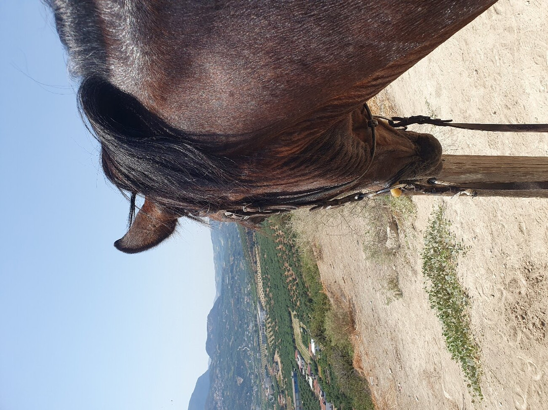 Finikia Horseriding-Finikia必去景点