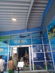 Sea Life Blankenberge-布朗肯堡必去景点