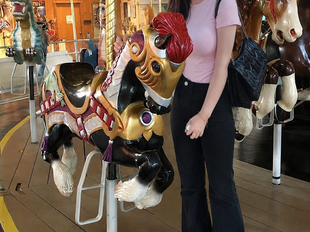 Merry-Go-Round Museum-桑达斯基必去景点