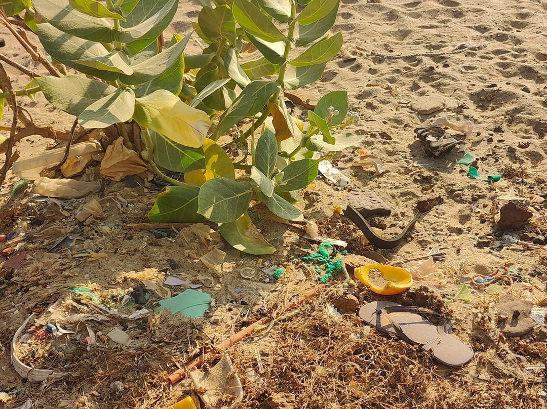 Plage Popenguine-Popenguine必去景点