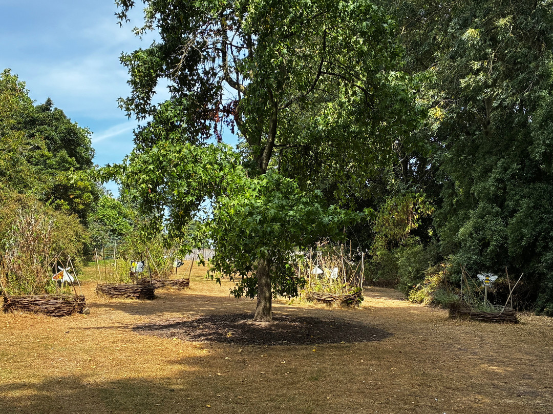 Askham Bryan Wildlife & Conservation Park-约克必去景点