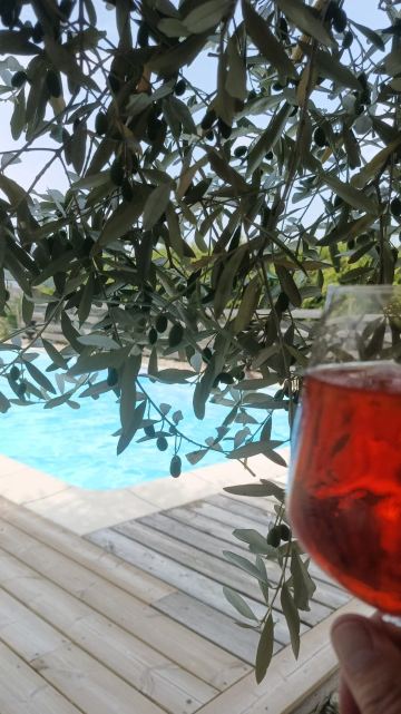德拉曼斯酒庄酒店-旅行者