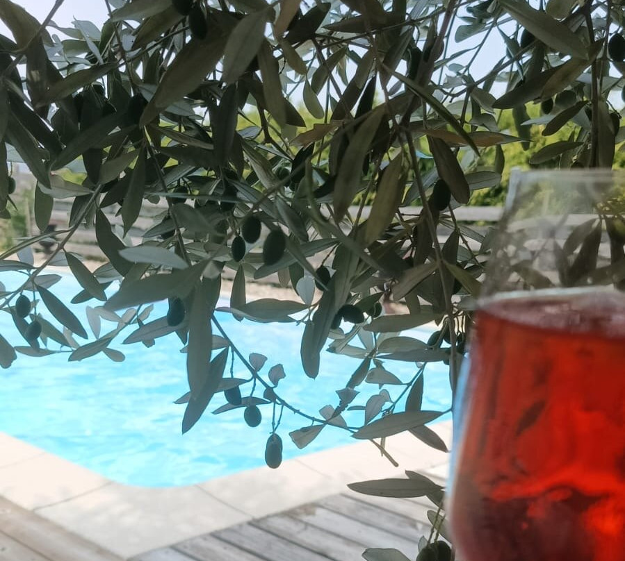 德拉曼斯酒庄酒店主图