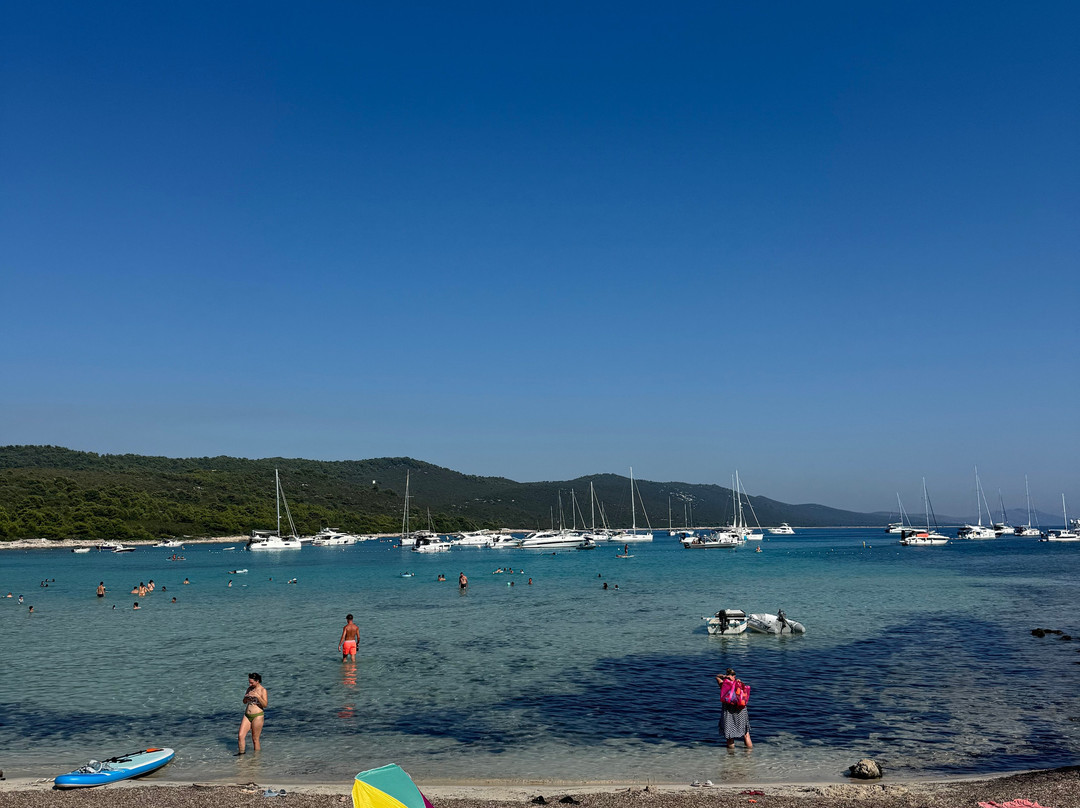 Feel Adriatic Nature Boat Tours Zadar-扎达尔必去景点