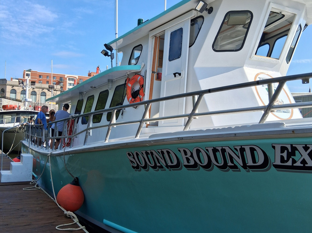 Sound Bound Fishing Charters-New Rochelle必去景点