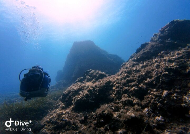 Blue Diving Center-Nea Potidea必去景点