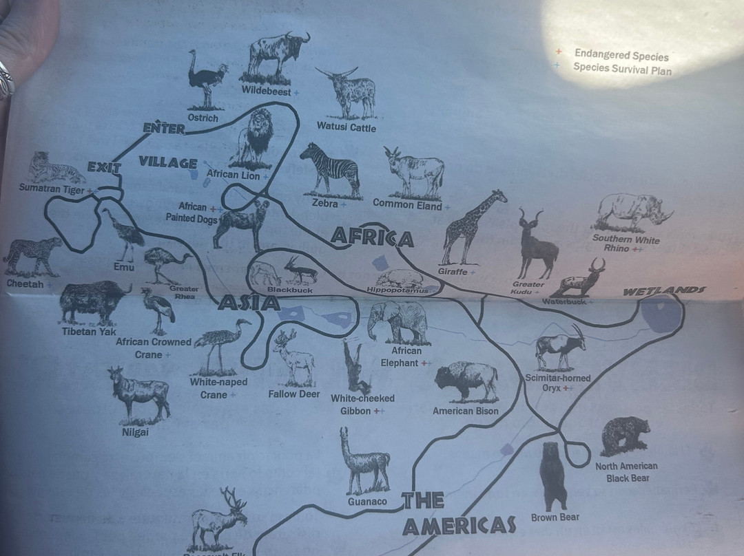 Wildlife Safari-Winston必去景点