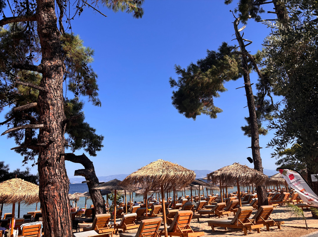 Thassos Imperial Resort主图