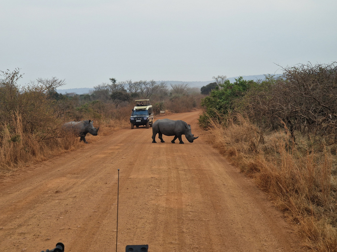 Akagera National Park-Eastern Province必去景点