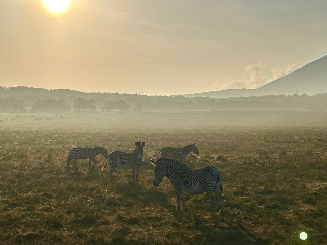 Oserengoni Wildlife Sanctuary-奈瓦夏必去景点
