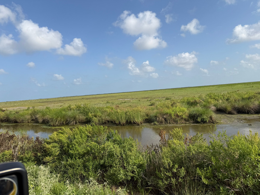 Brazoria National Wildlife Refuge-Freeport必去景点