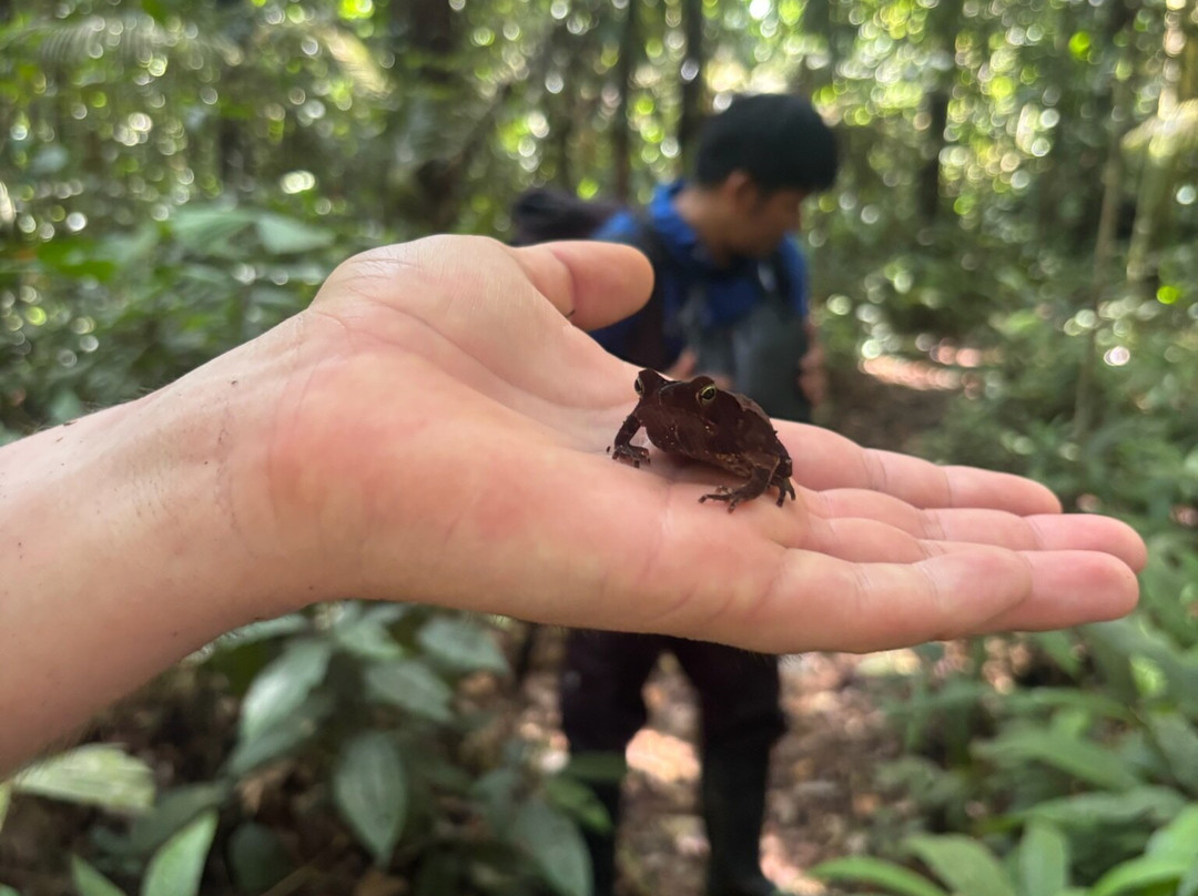 Amazon Tour-莱蒂西亚必去景点