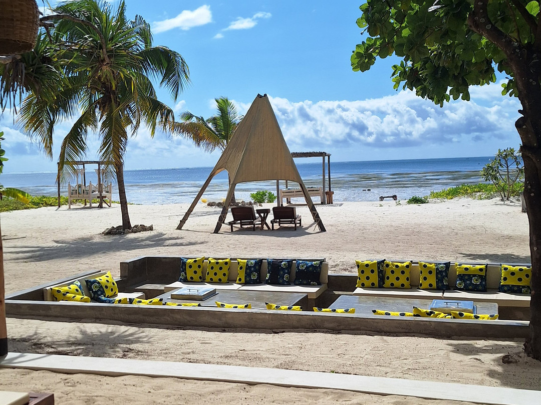 Safari Avventura-阿鲁沙必去景点