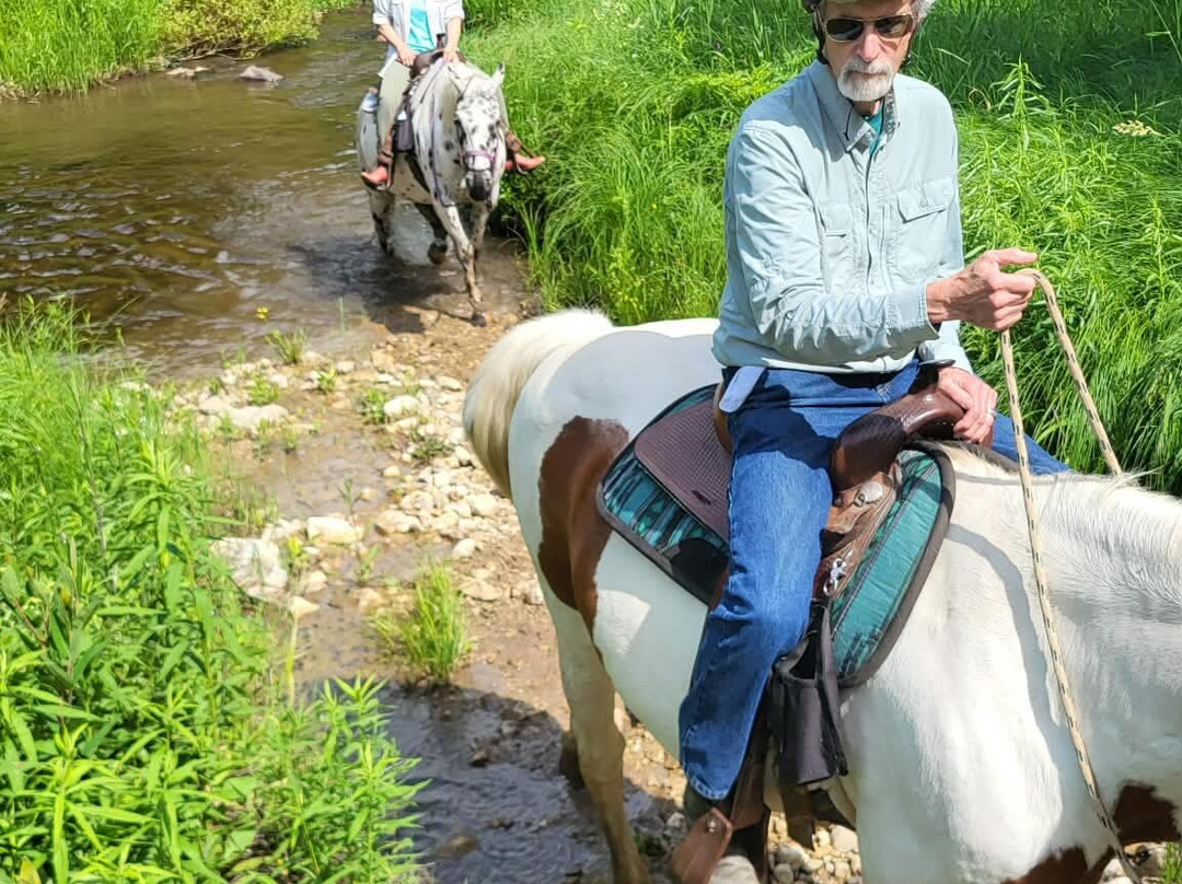 Windsong Horse & Carriage Ranch - Horseback Trail Rides-Meaford必去景点