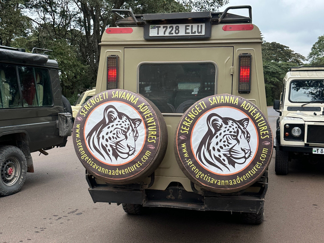 Ngorongoro Crater-恩戈罗恩戈罗保护区必去景点