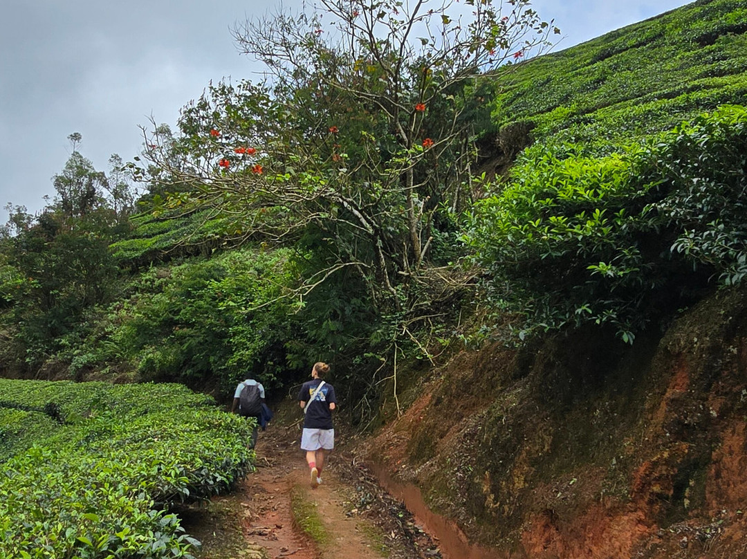 Munnar Hiking Trails-慕那尔必去景点