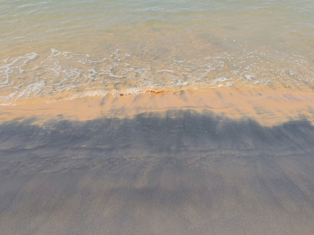 Ayushi Ayurvedic Retreat-瓦卡拉必去景点