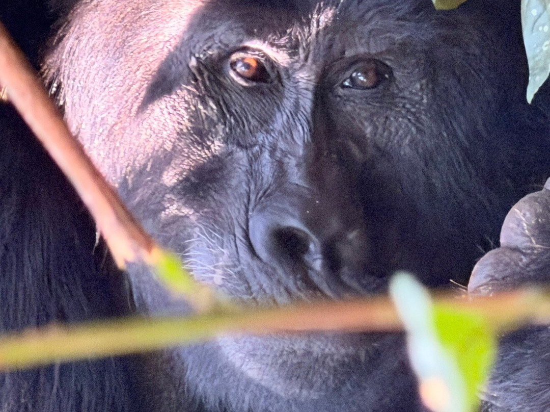 Africa Reveal Safaris-Namugongo必去景点