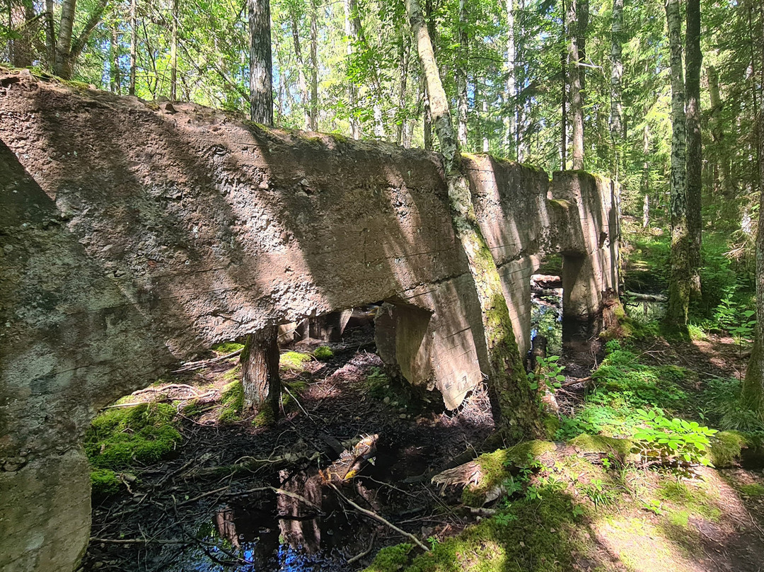 Oljekoken Gössäter
