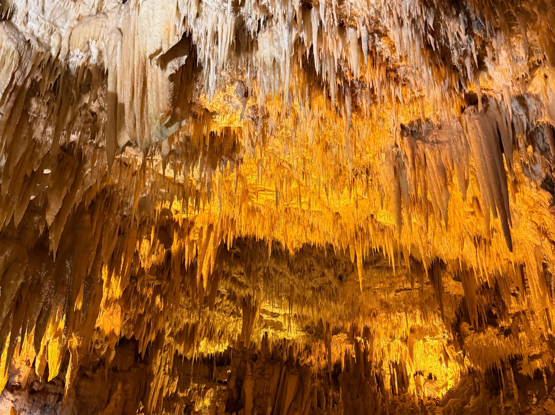 Grotte Di Castellana-卡斯特拉纳格罗泰必去景点