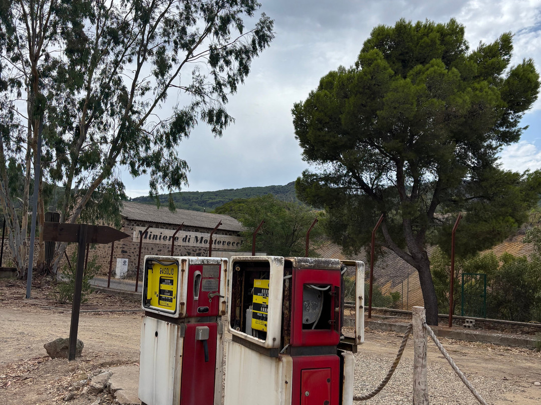 Agriturismo Gragonti（农家乐格拉冈蒂）主图