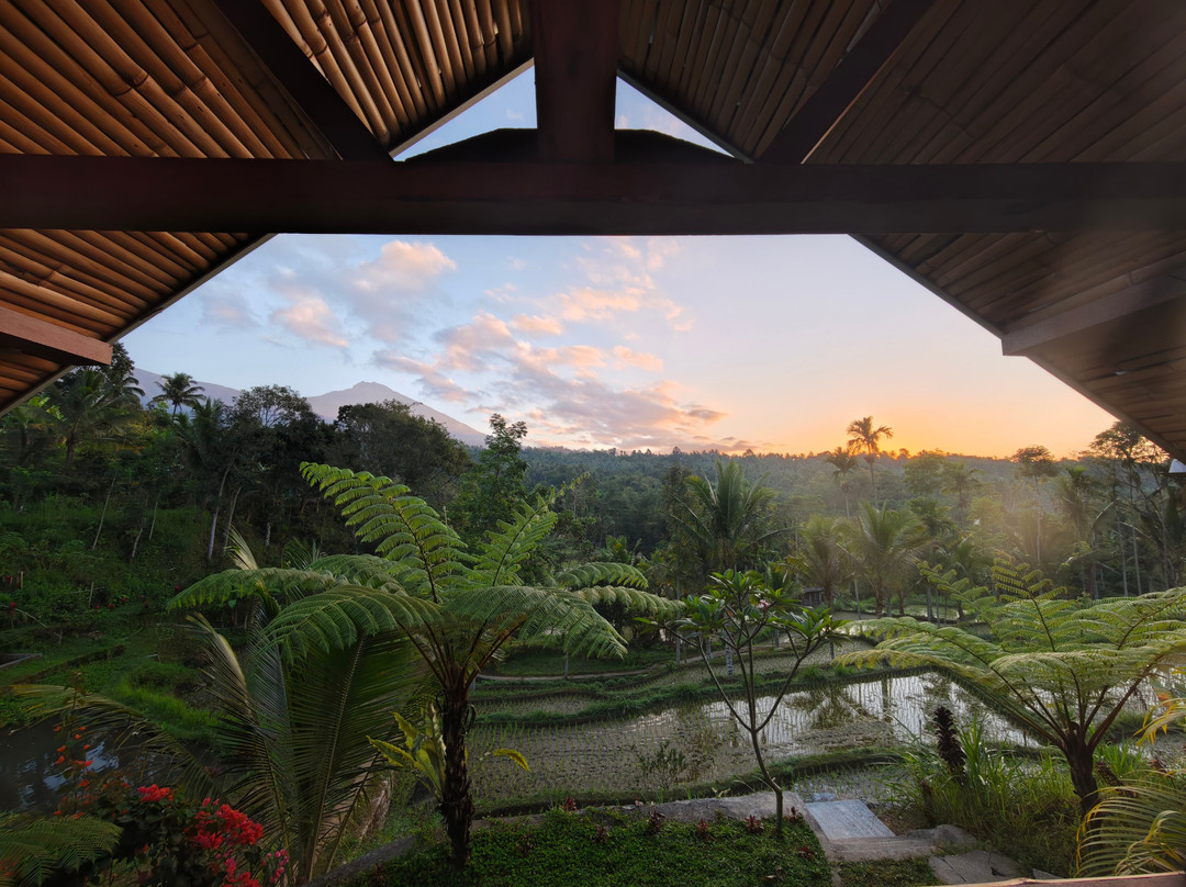 The Alam Bungalow & Restaurant