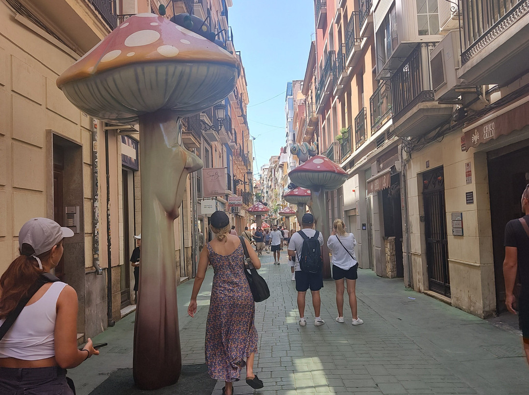 Calle de Las Setas-阿利坎特省必去景点
