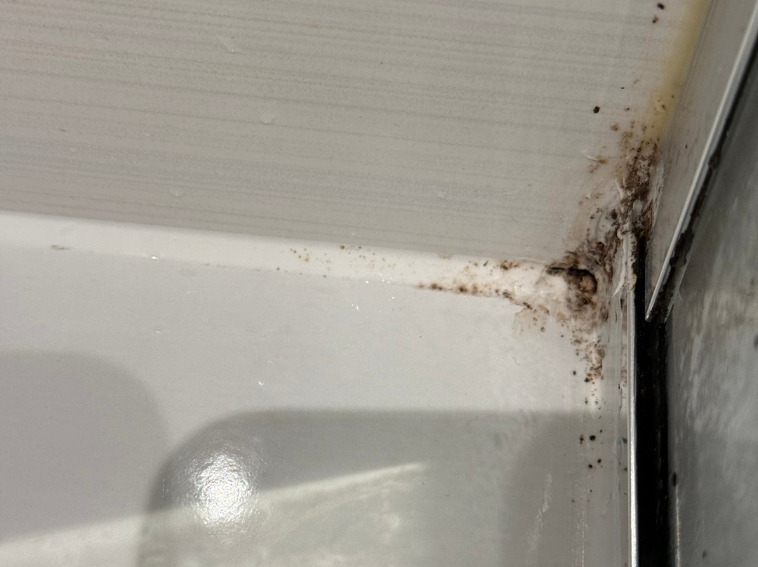 科克茅斯普瑞米尔酒店主图